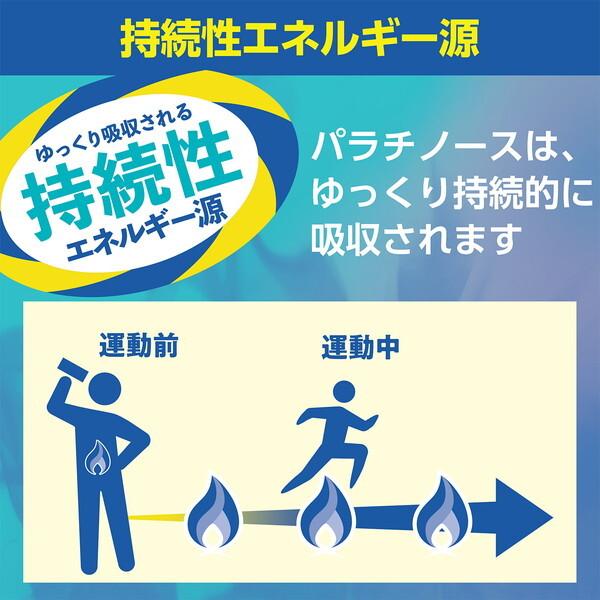 Palatinose ピュアパラスティック
