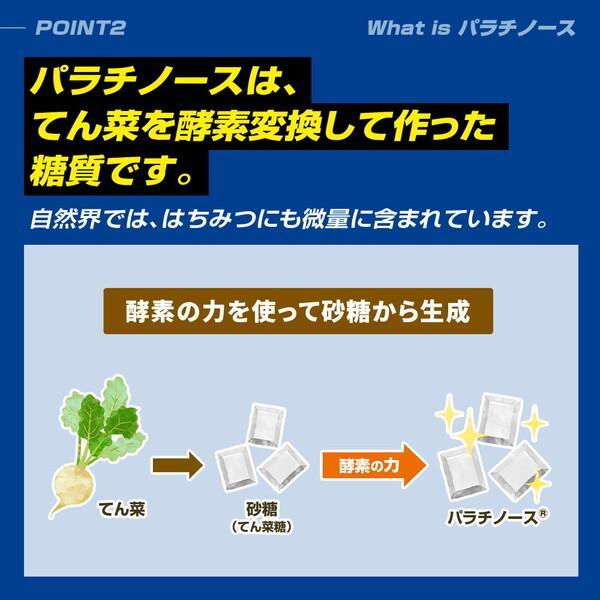 Palatinose ピュアパラスティック