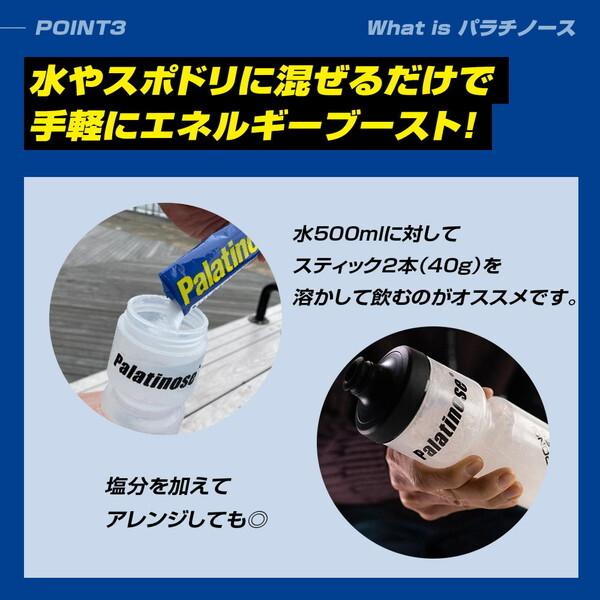 Palatinose ピュアパラスティック