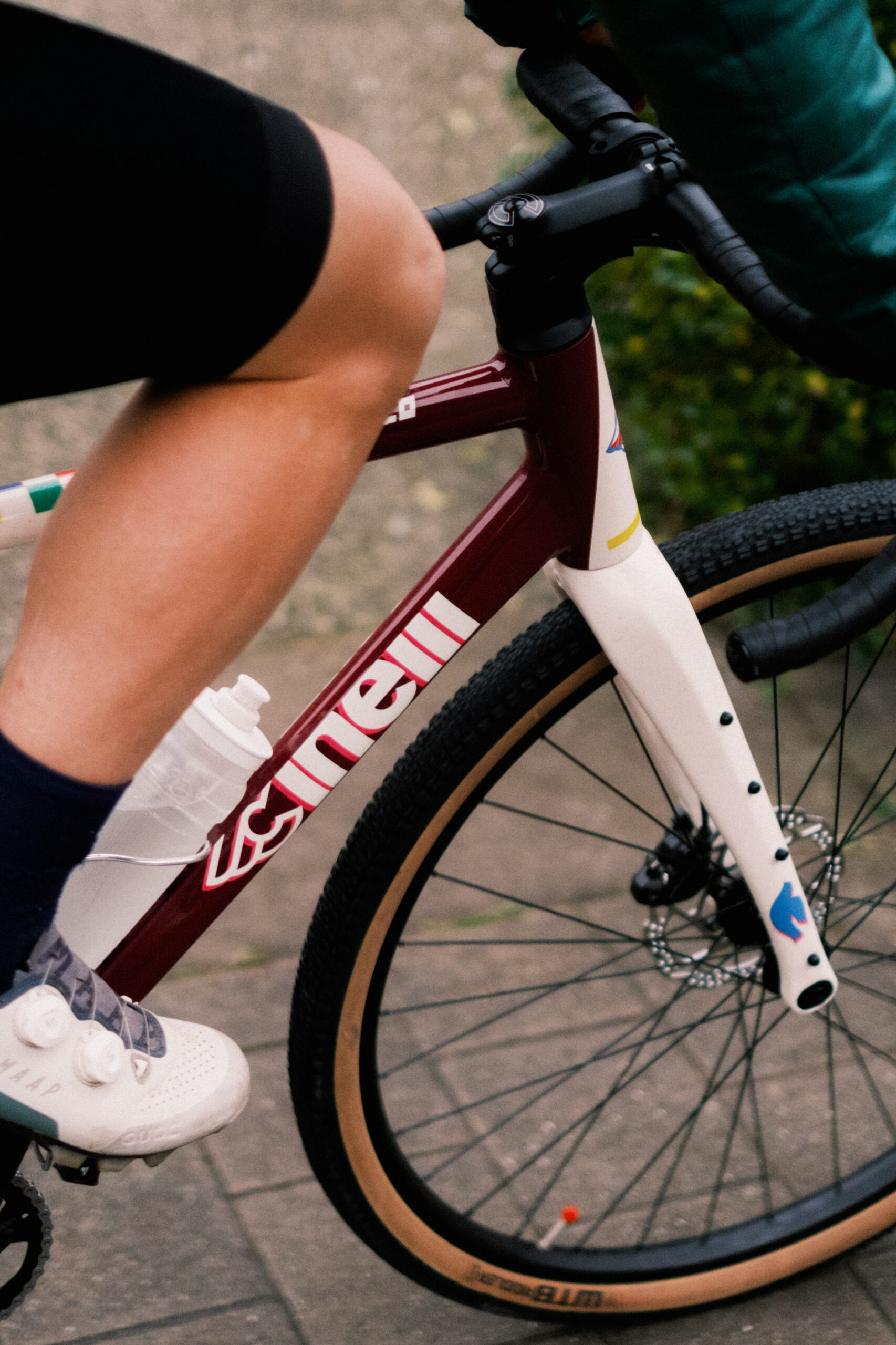 ZYDECO WASHBOARD フレームセット | Cinelli | 株式会社Many'S メニーズ