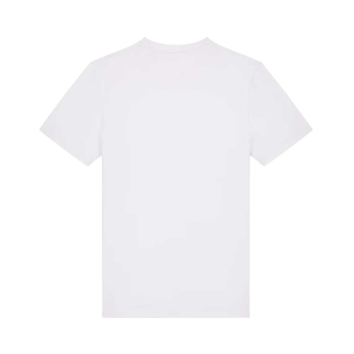 T-SHIRT SAM TURNER SHARK REG