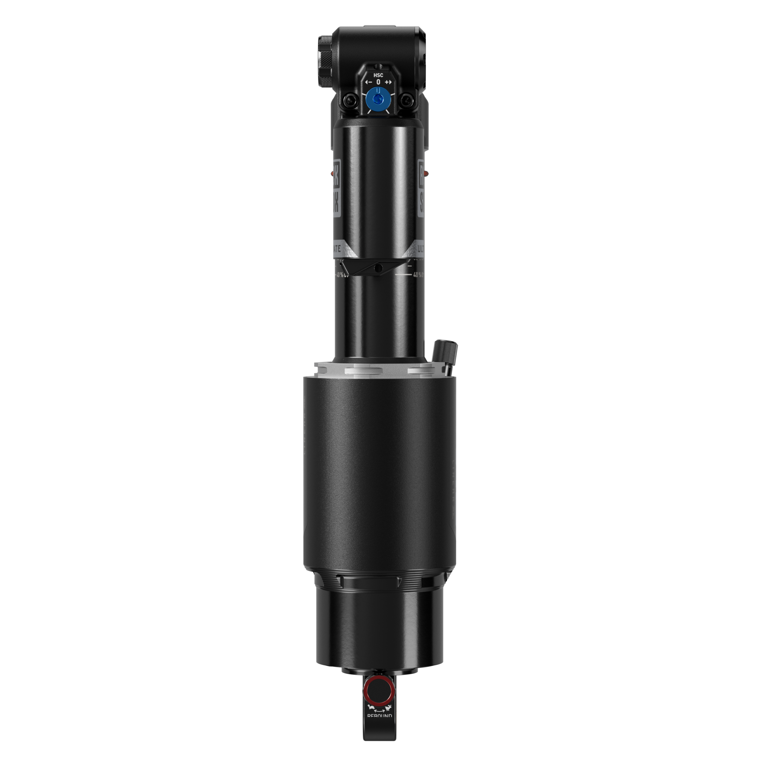 Vivid Ultimate DH D1