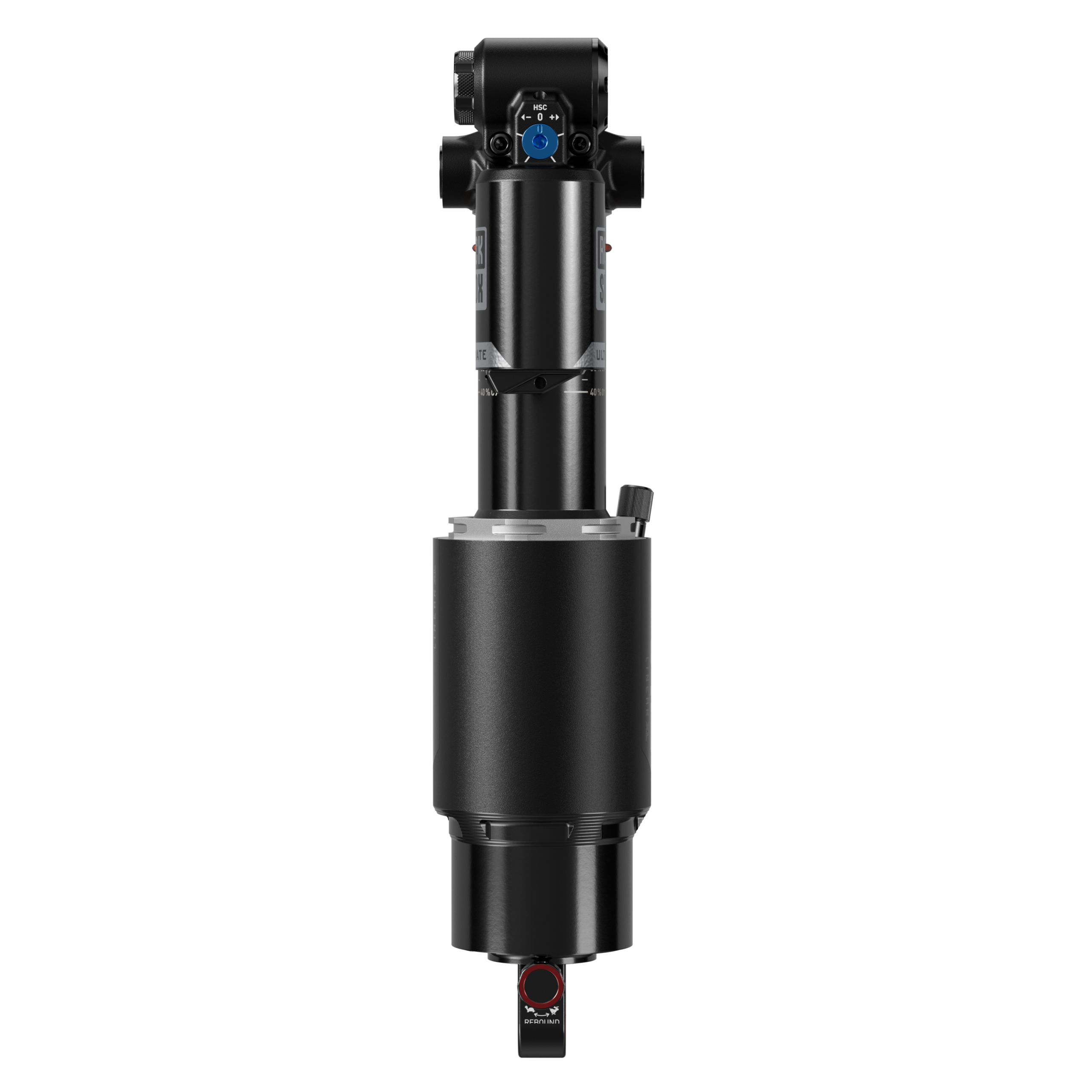 Vivid Ultimate DH D1