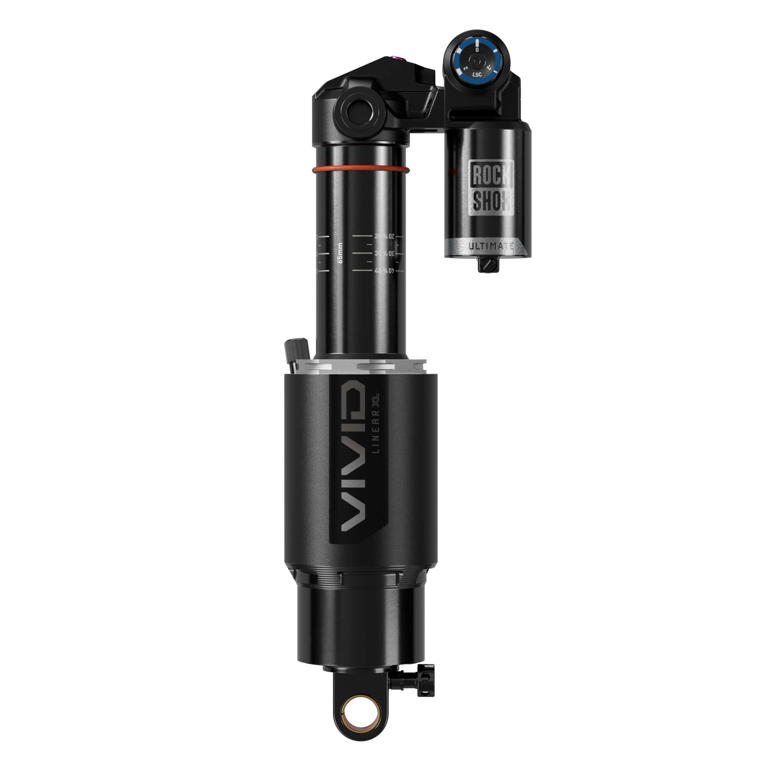 Vivid Ultimate DH D1