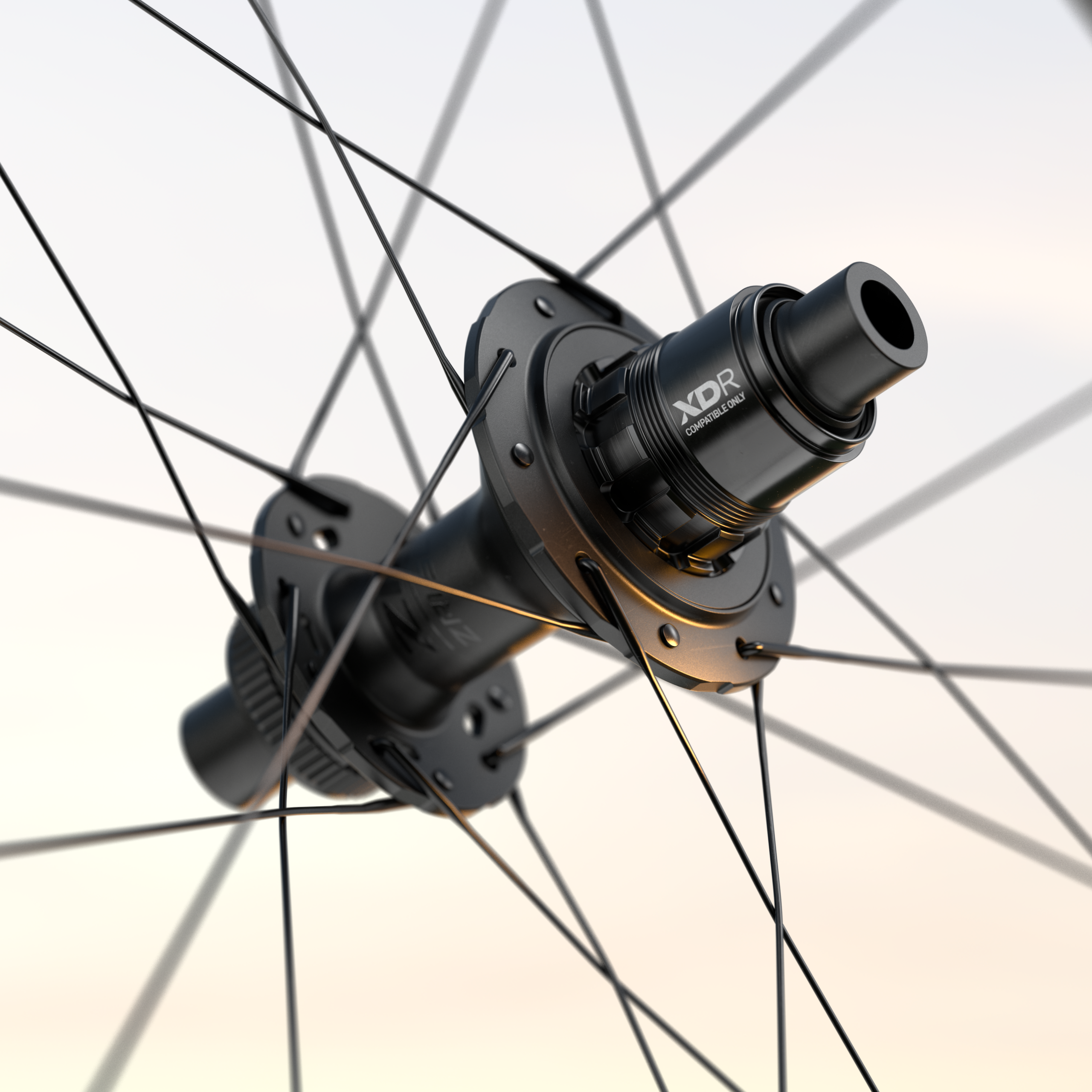 202 NSW Tubeless Disc