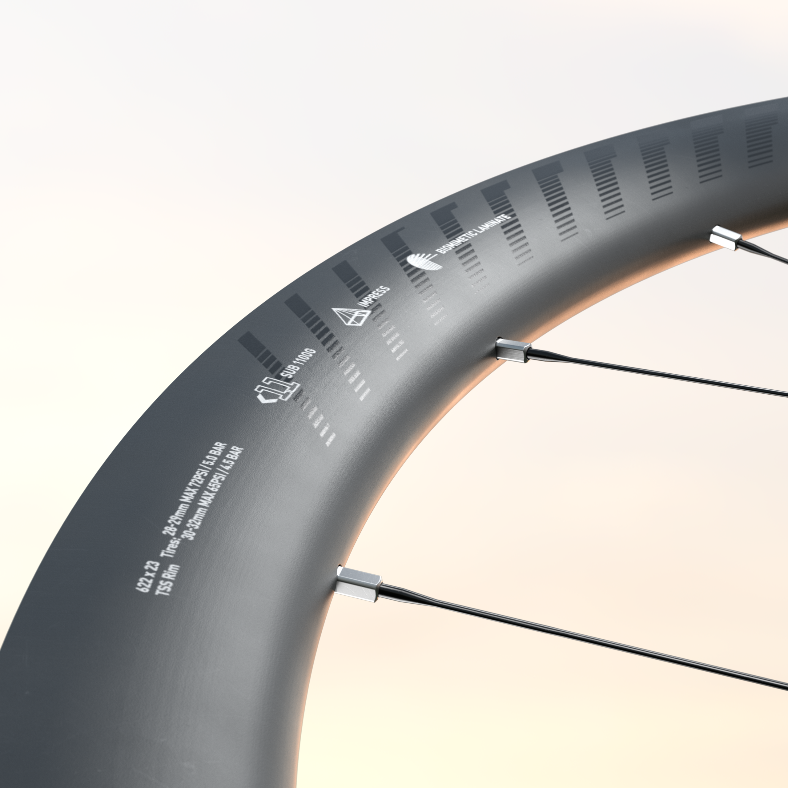 202 NSW Tubeless Disc